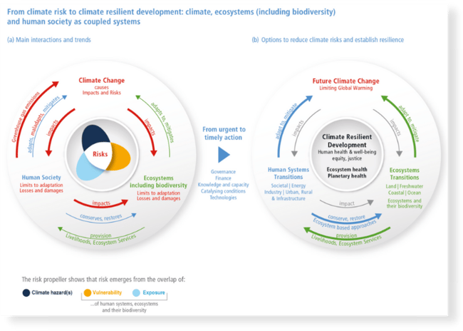 IPCC report 2022 blog figure 103