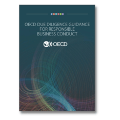 OECD Due Diligence Guidance for Responsible Business Conduct