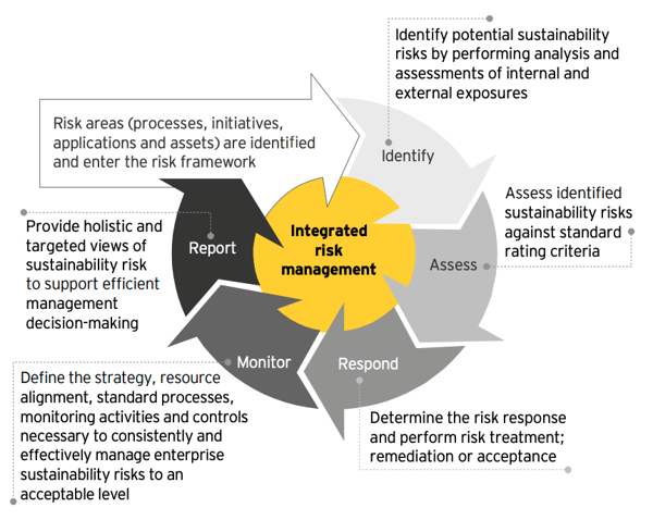 EY-integrated-risk-management