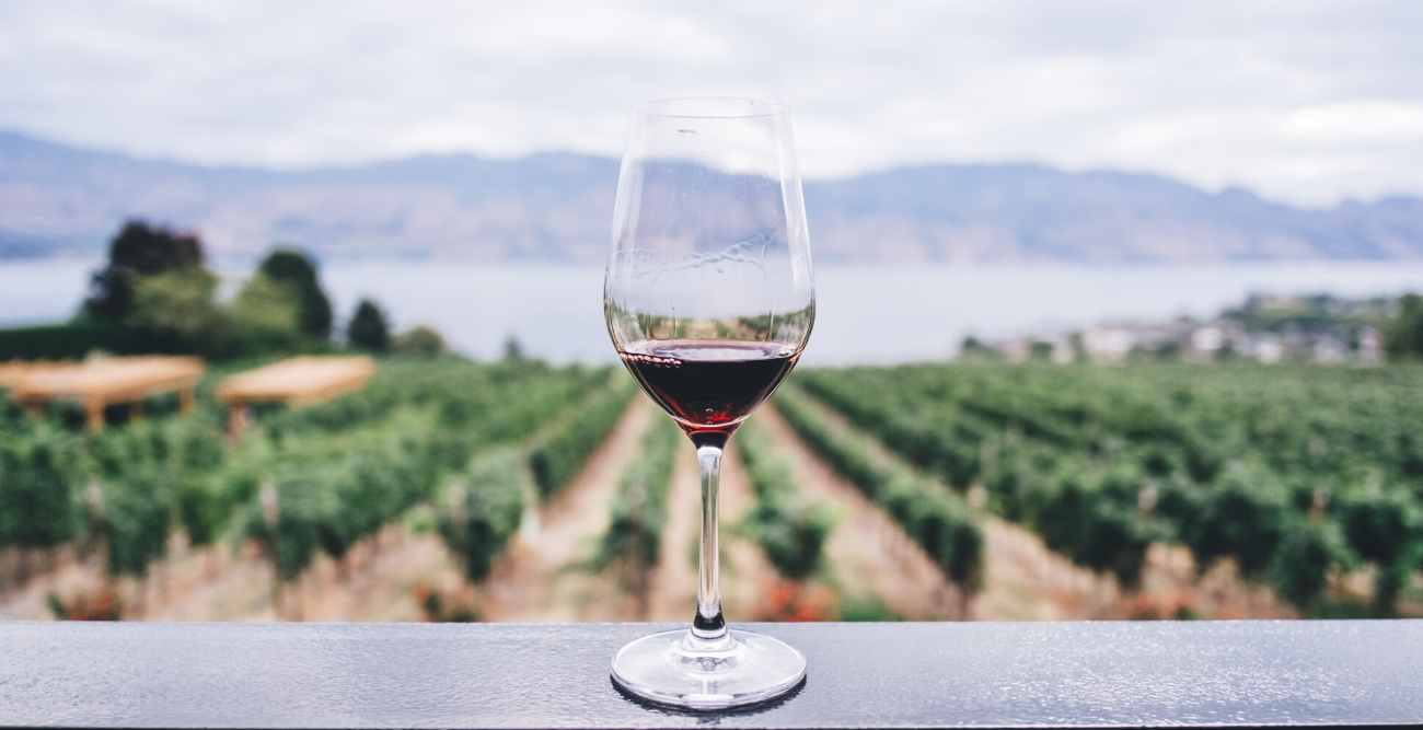 Sustainability through transparency in the wine and spirits industry