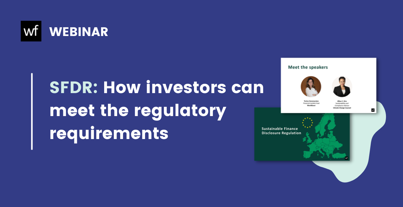 On-demand webinar – SFDR: How investors can meet the regulatory requirements