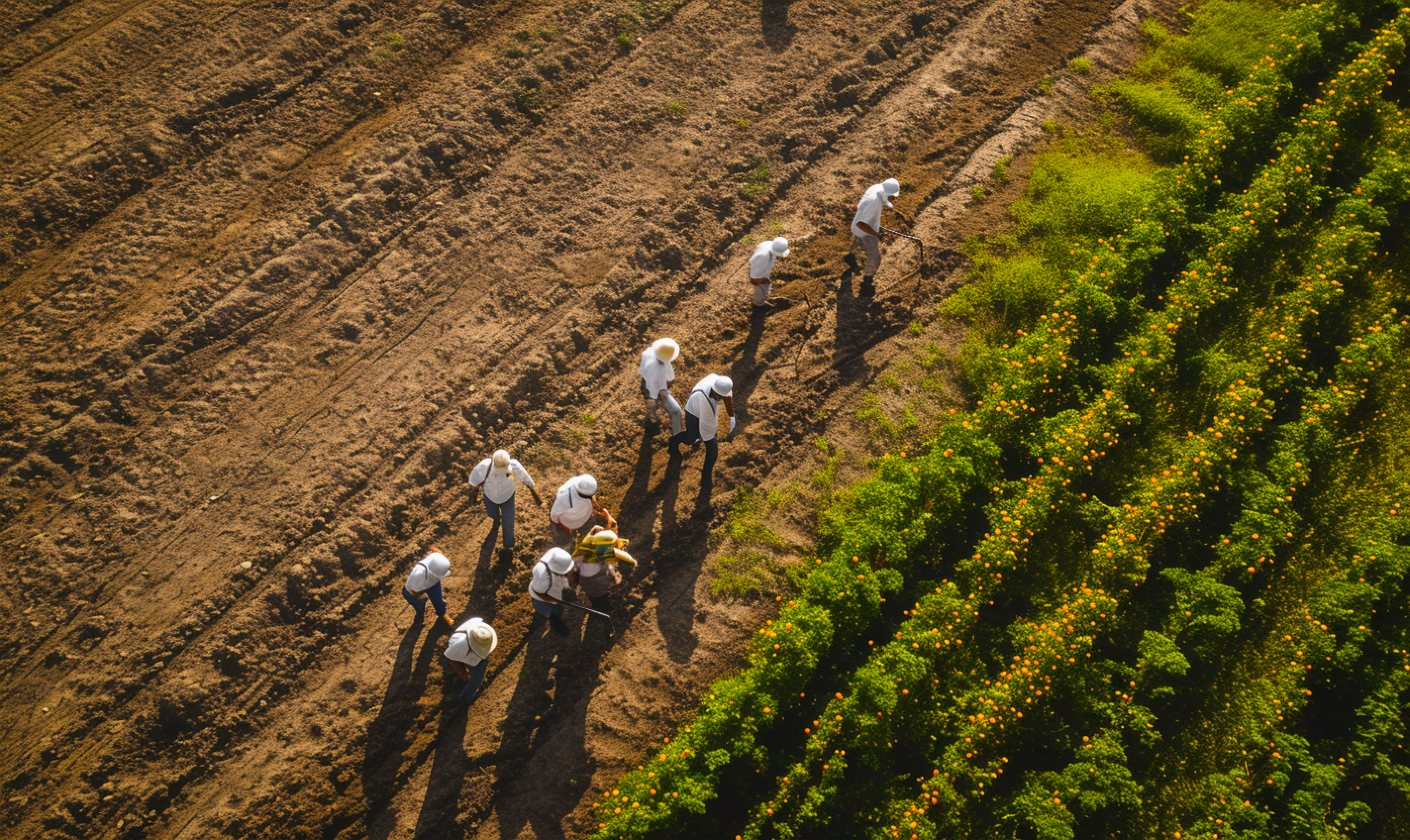 The EU Forced Labor regulation (EUFLR): what you need to know